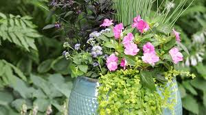 I will suggest you to consult some person who has personally grown variety of flowers than reading tips from somewhere. Heat Tolerant Annuals That Bloom All Summer Long Better Homes Gardens