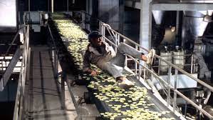 Soylent Green' Review: 1973 Movie – The ...