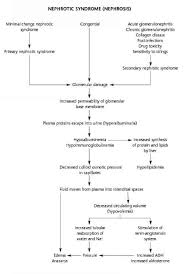 Flow Chart For Nephrotic Syndrome Pediatric Nursing