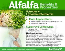 alfalfa herbazest