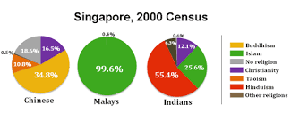 Culture And Social Development Singapore
