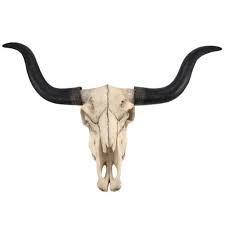 Long Horn Cow Skull Wall Hanging Mount