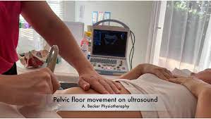 pelvic floor physio examination