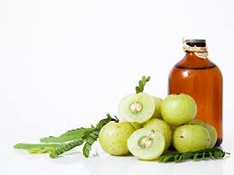 proven amla oil benefits for skin