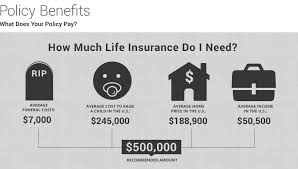 A study on customer satisfaction of life insurance policies SlideShare Fidelity Life