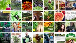 Top 30 Organic Gardening Blogs And