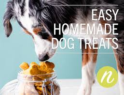 easy homemade dog treats lunds byerlys