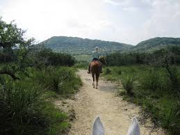 texas horseback riding vacations