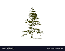 Cedar Tree Logo Design Template