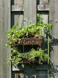 Simple Hanging Herb Garden