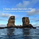 Galapagos Sky | Liveaboard Diving Yacht | DARWIN'S PILLARS 🪨 Once ...
