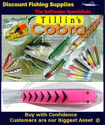 Tillins Cobra Wobbler Lure 19g 3inch Colour 58 With Hook And Bead