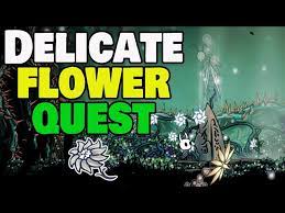 hollow knight delicate flower quest
