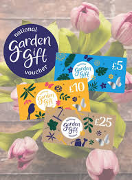 gift cards elmwood garden centre