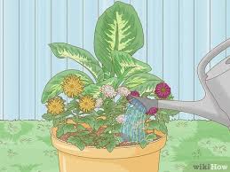 How To Arrange Flower Pots 13 Steps