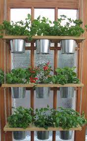 pots kitchen herb garden windowsill