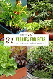 21 Best Container Gardening Vegetables