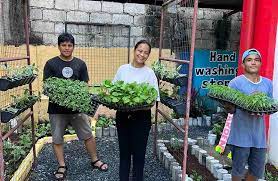 Award Winning Urban Vegetable Gardens