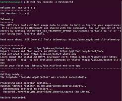 how to setup net core in ubuntu 20 04