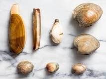 Where do the best clams come from?
