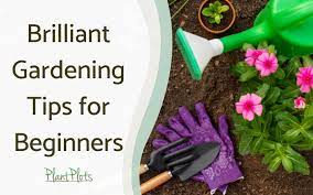 Brilliant Gardening Tips For Beginners