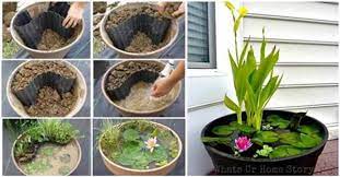 how to diy mini garden pond in a container