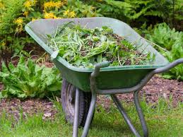 Tools For Weeding Your Vegetable Garden