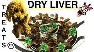 en liver dry dog treats diy