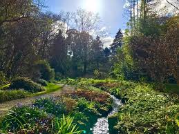 wicklow gardens wicklow county tourism