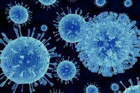 This sounds like what we are experiencing right now, how do you know for sure if you have norovirus? Can Norovirus Live On Food Food Safety Experts