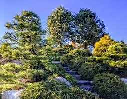 Japanese Garden Landscape Designers In