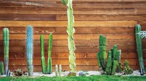 San Diego Cactus And Succulent Garden