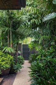 A Tropical Garden In The Heart Of
