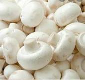 Image result for How To Grow Mushrooms In South Africa
