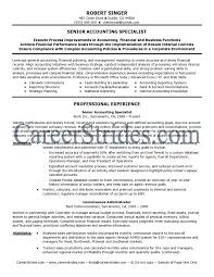 Professional Resume Writing   Editing Services by Professional      