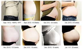 During Pregnancy Page 2 Of 4 Best Examples Of Charts
