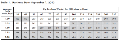 Guide To Determine What Weight Show Pig To Buy The Pig Site