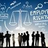 The employment rights and responsibilities