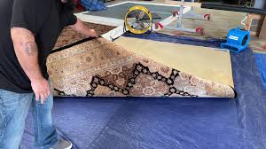 area oriental rug cleaning be amazed