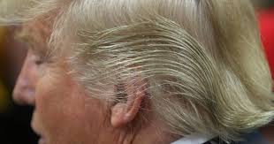 Image result for trump hair pics