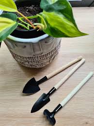 Mini Houseplant And Terrarium Tool Set Indoor Plants Supplies