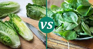spinach vs romaine lettuce make