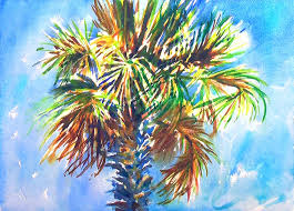 charleston palm tree watercolor