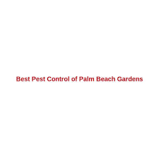 19 Best West Palm Beach Pest Control