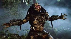 Image result for the predator