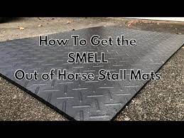 the smell out of horse stall mats