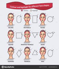 highlight makeup guide vector set