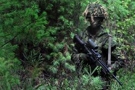 weapon camouflage military solr