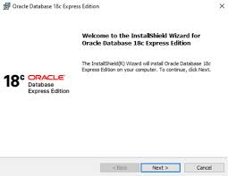 how to install oracle database on windows