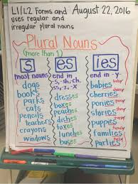 Plural Nouns Mrs Wests 3rd Grade